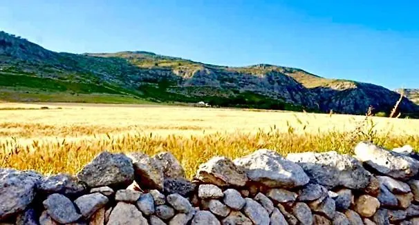 Santa Lucia
